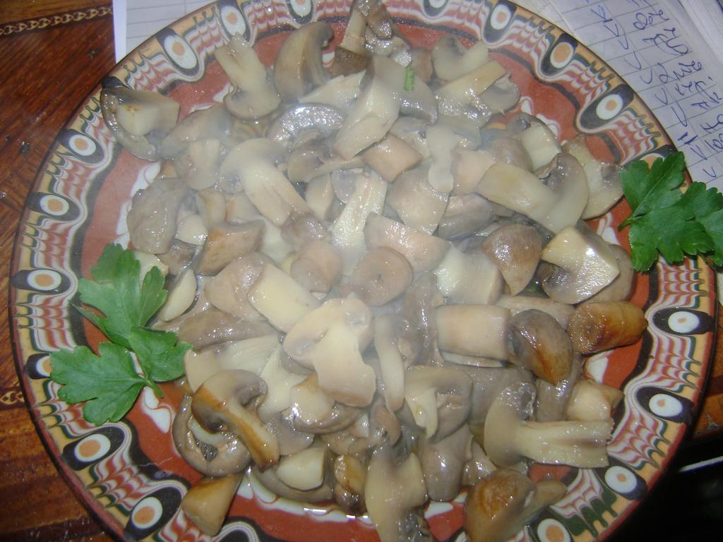 Guest House Todorini Kashti 科普里夫什迪察 外观 照片