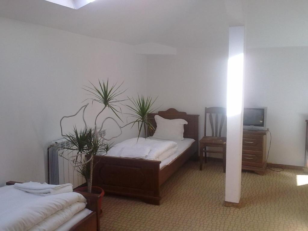 Guest House Todorini Kashti 科普里夫什迪察 客房 照片