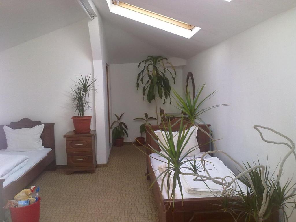 Guest House Todorini Kashti 科普里夫什迪察 客房 照片